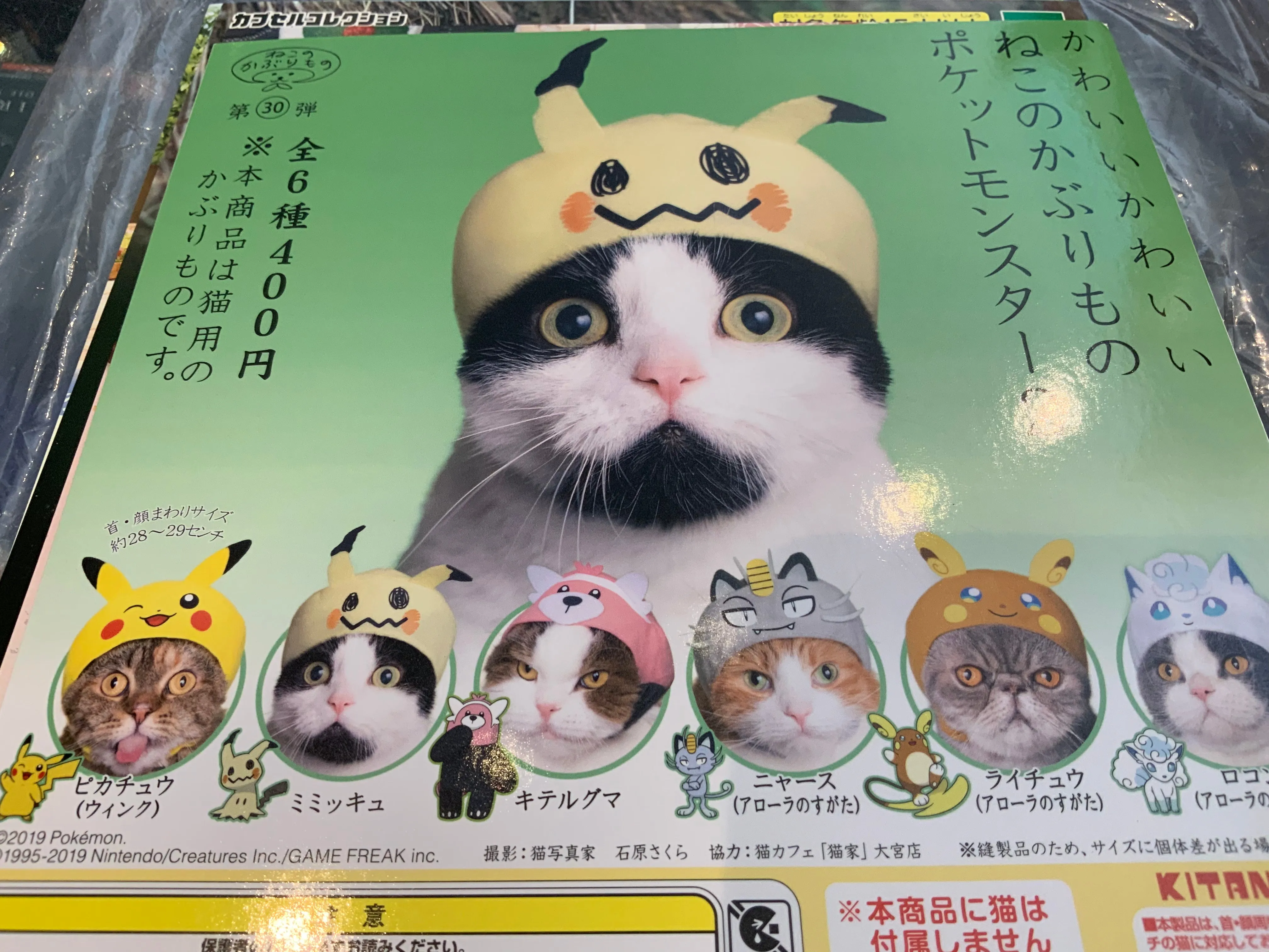 Kitan Club Pokemon Cat Hat 6 Pieces Set (In-stock) Abstract Form