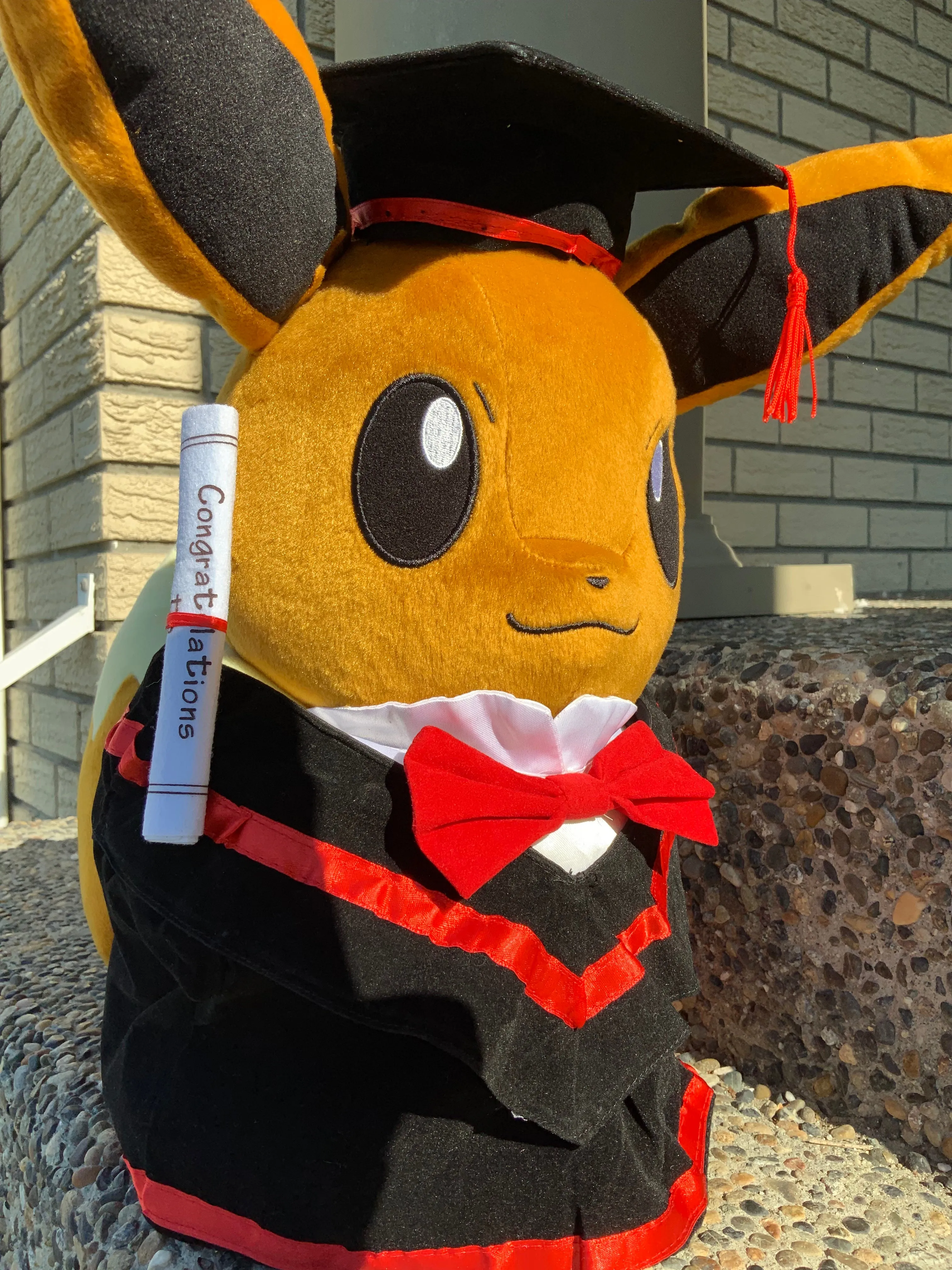 Online Game Graduation Pokemon Eevee Medium Plush
