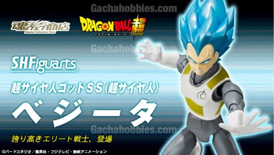 S.H.Figuarts Super Saiyam God SS Tamashii Limited (Pre-order) Success Celebrate Young Engineer