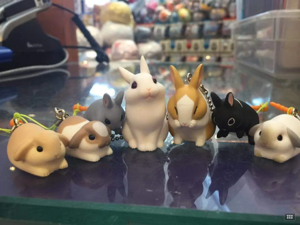 Post Office Pet Training Rabbit Strap Set